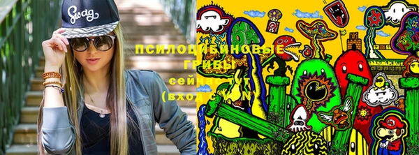 соль курить ск Арсеньев