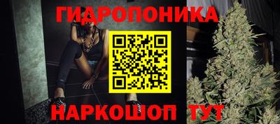 стафф Донецк
