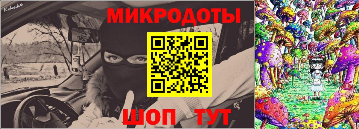 Псилоцибиновые грибы Cubensis Сургут